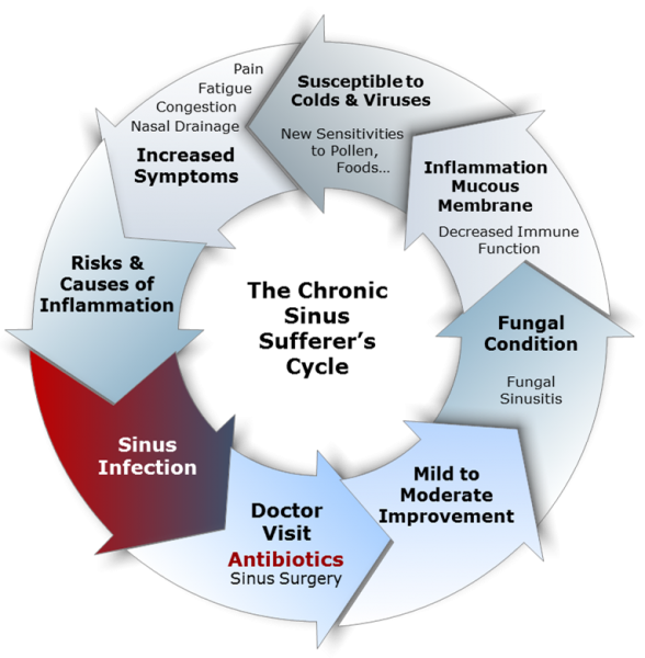 The Sinus Cycle